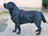 /album/fotogaleria/a003-600x448-jpg/